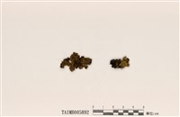 藏品(島衣屬)的圖片